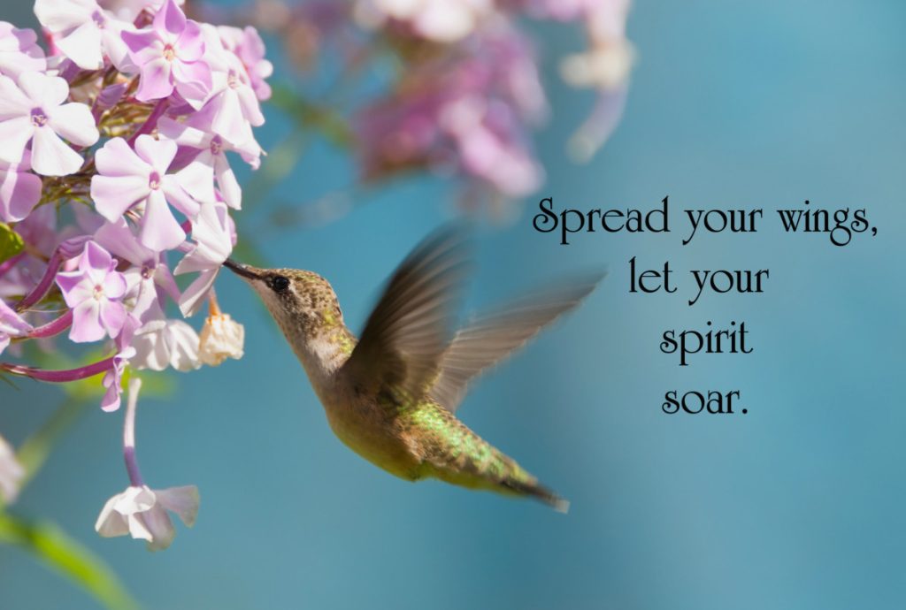 spread your wings